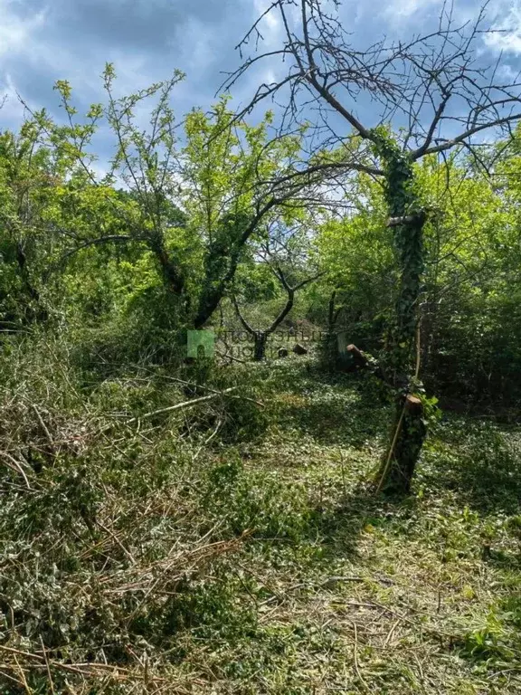 Участок в Краснодарский край, Новороссийск городской округ, Горный аул ... - Фото 0