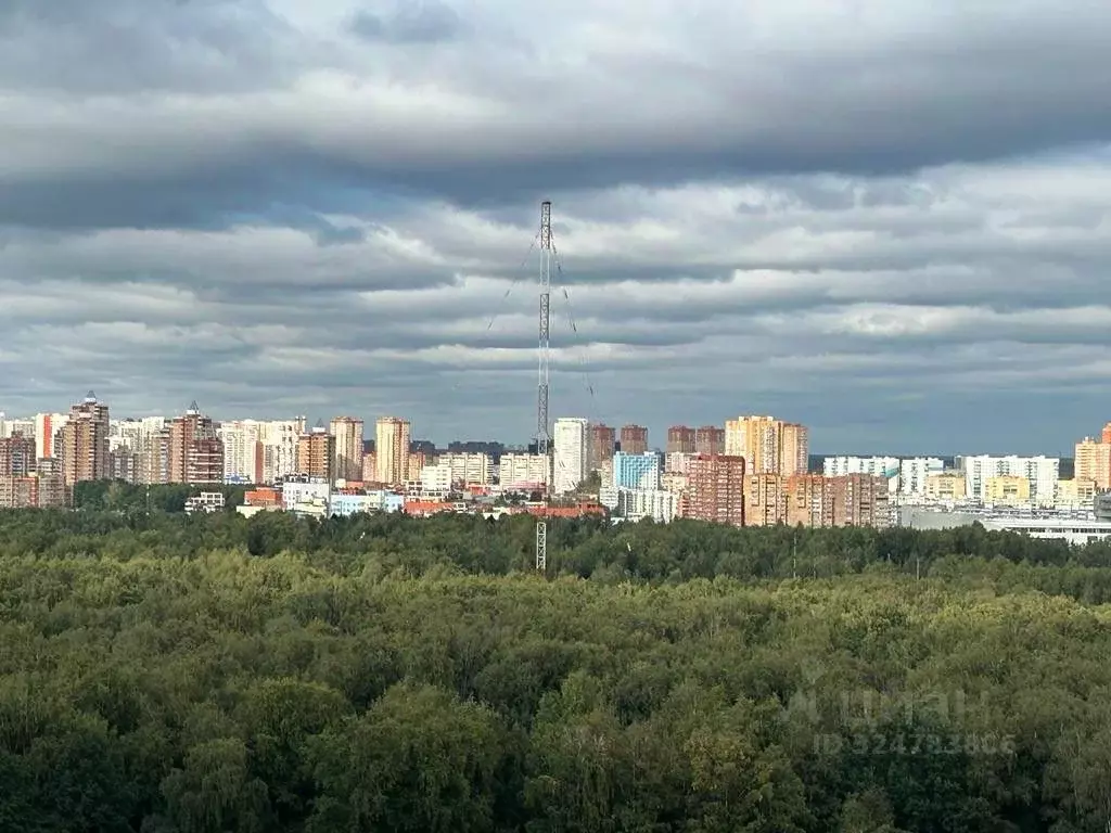 3-к кв. Московская область, Красногорск городской округ, Путилково пгт ... - Фото 2
