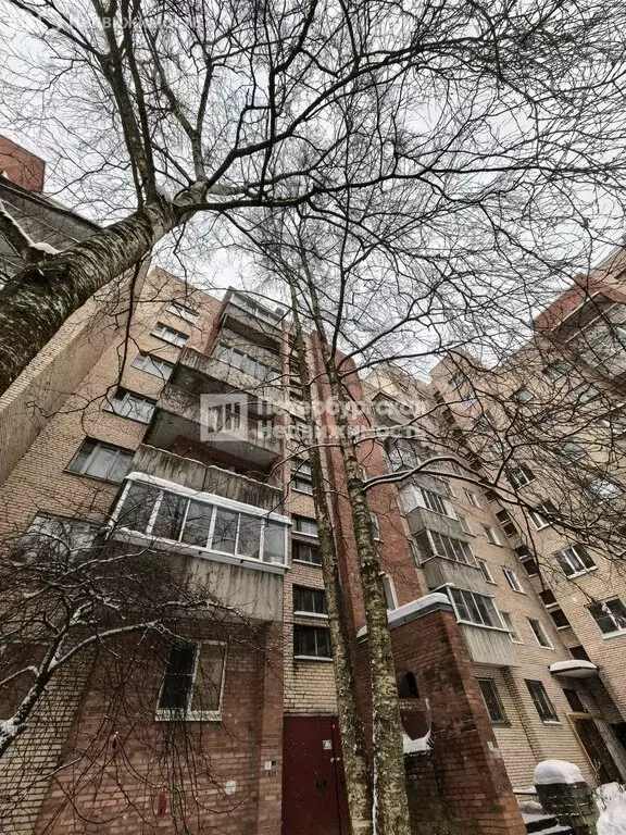 1-комнатная квартира: Петергоф, улица Шахматова, 18 (33.2 м) - Фото 2