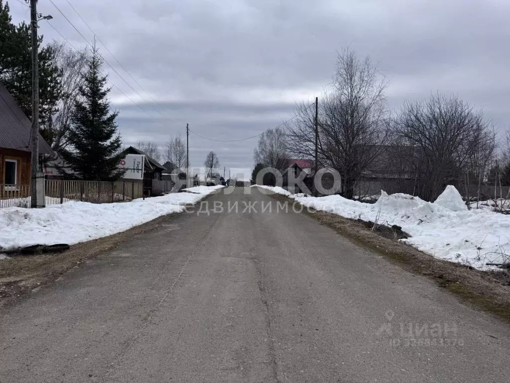 Участок в Пермский край, Березники муниципальный округ, д. Белая Пашня ... - Фото 1