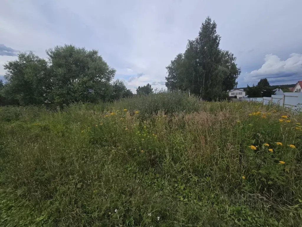 Участок в Московская область, Домодедово городской округ, д. Караваево ... - Фото 2