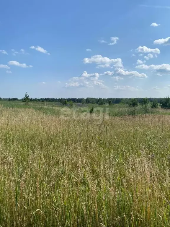 участок в челябинская область, сосновский район, солнечное с/пос, пос. . - Фото 1