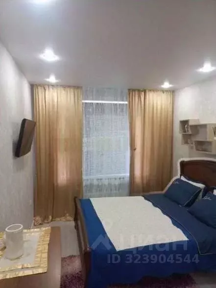 1-к кв. Ставропольский край, Михайловск Шпаковский район, ул. Ишкова, ... - Фото 1