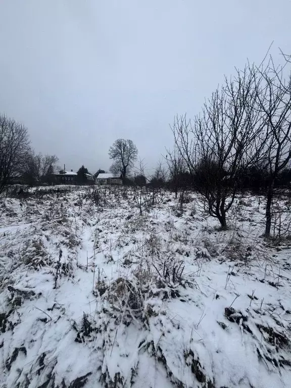 Участок в Московская область, Ступино городской округ, д. Прудно ул. ... - Фото 2