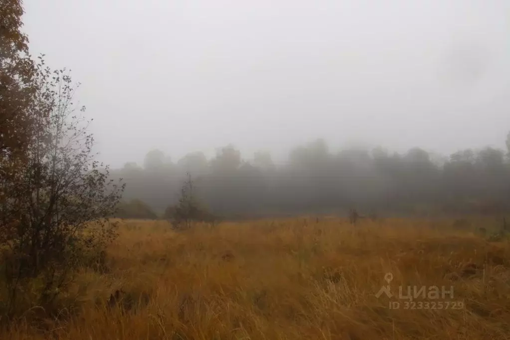 Участок в Московская область, Шаховская муниципальный округ, д. ... - Фото 1