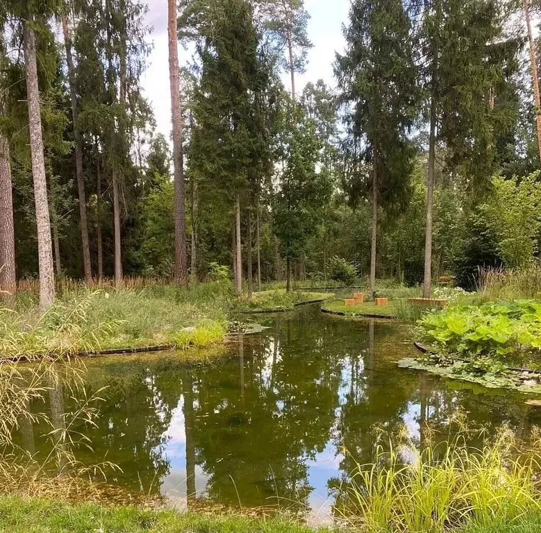 Участок в Московская область, Одинцовский городской округ, пос. ... - Фото 1