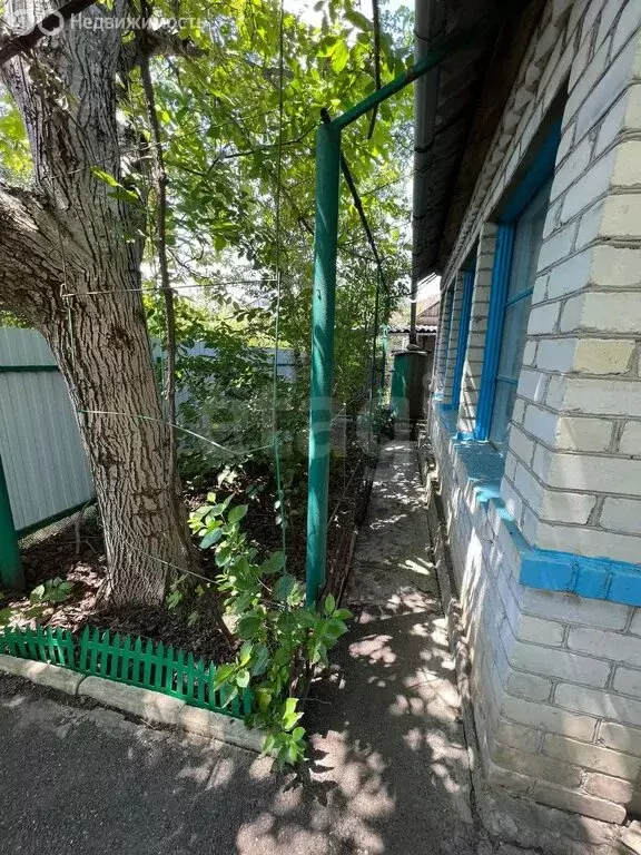 Участок в Майкоп, СНТ Машиностроитель, Центральная улица (5.24 м) - Фото 2