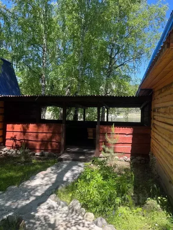 Дом в Алтай, Чемальский район, с. Чемал ул. Кедровая, 3 (40 м) - Фото 1