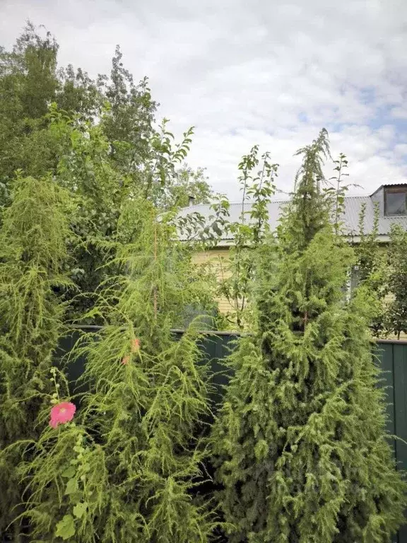 3-к кв. Владимирская область, Муром Стахановская ул., 17 (58.6 м) - Фото 1