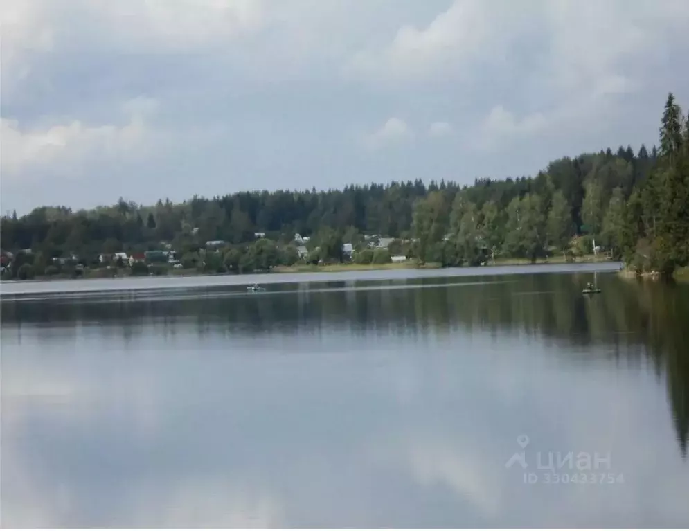 Участок в Новгородская область, Валдайский муниципальный район, ... - Фото 2