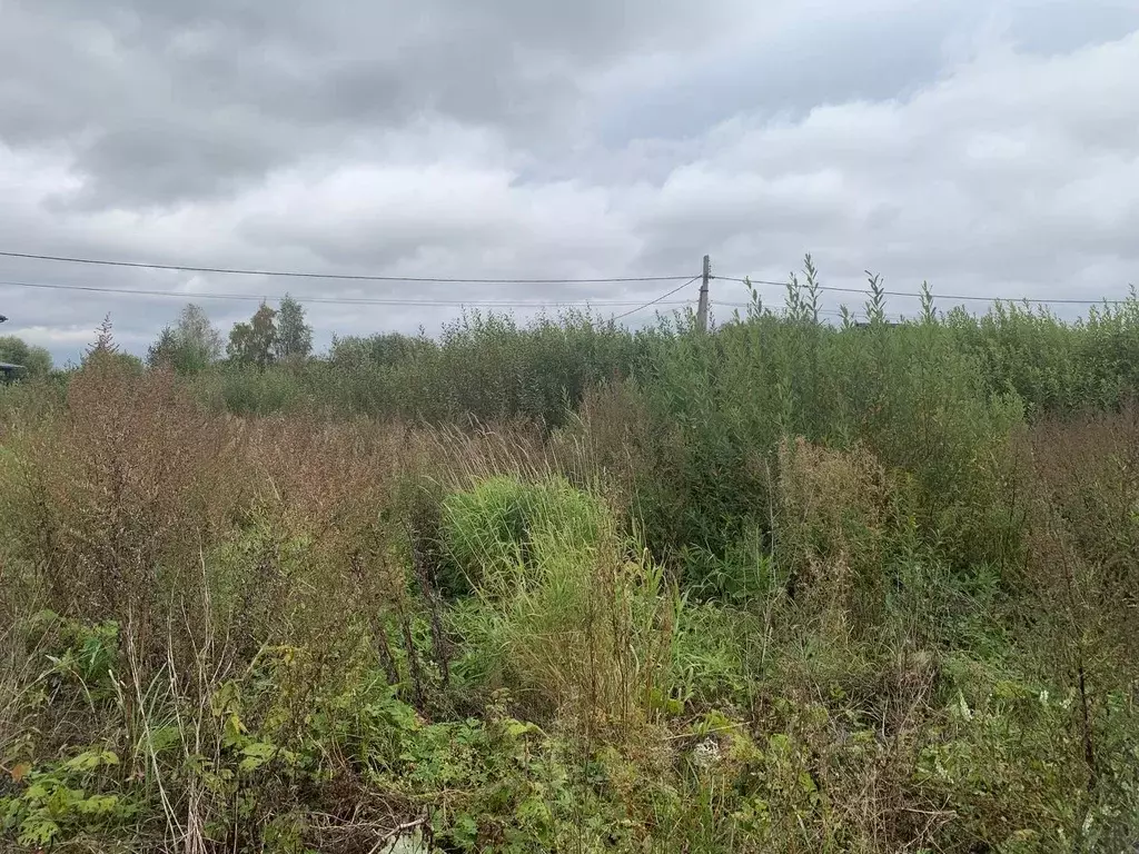 Участок в Московская область, Наро-Фоминск ул. Праздничная (12.0 сот.) - Фото 1