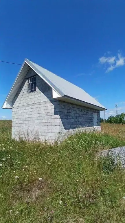 Дом в Свердловская область, Бисерть пгт ул. Бебикова, 48 (49 м) - Фото 1