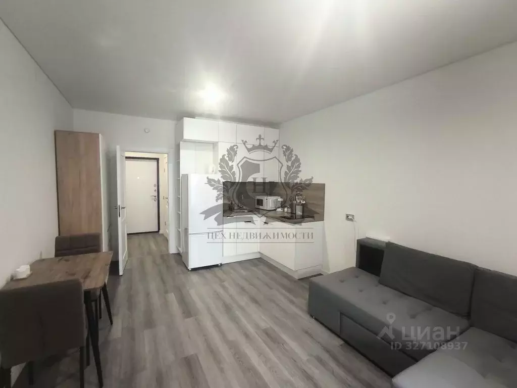 Студия Санкт-Петербург Дальневосточный просп., 19к1 (24.5 м) - Фото 1