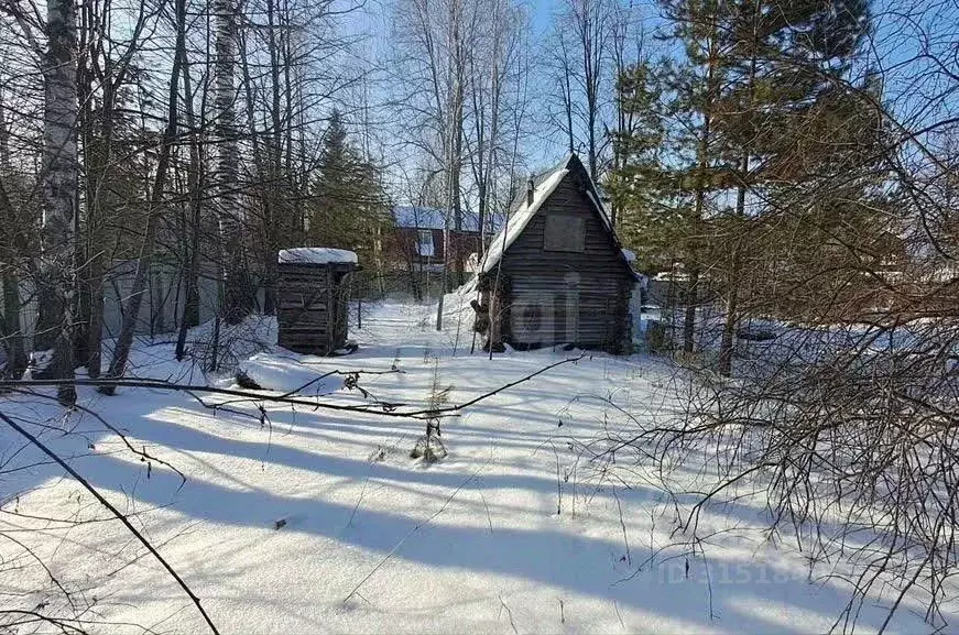 Участок в Тюменская область, Нижнетавдинский район, Геолог-2 СНТ 1-я ... - Фото 0
