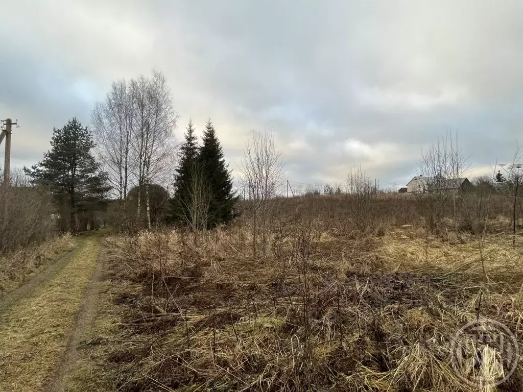 Участок в Ленинградская область, Лужский район, Володарское с/пос, д. ... - Фото 2