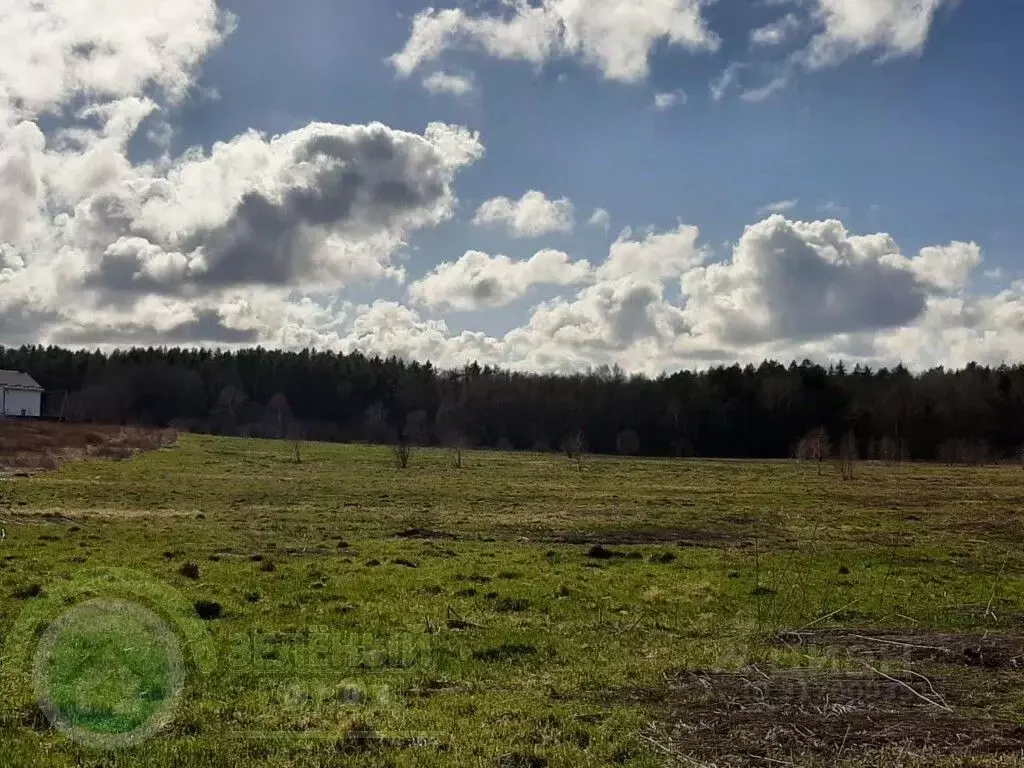 Участок в Калининградская область, Светлогорск Радуга СНТ, 8-я линия, ... - Фото 0