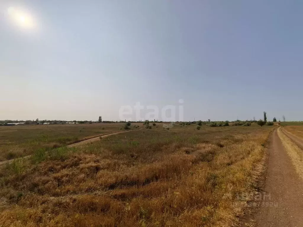 Участок в Крым, Сакский район, с. Орехово  (40.0 сот.) - Фото 1