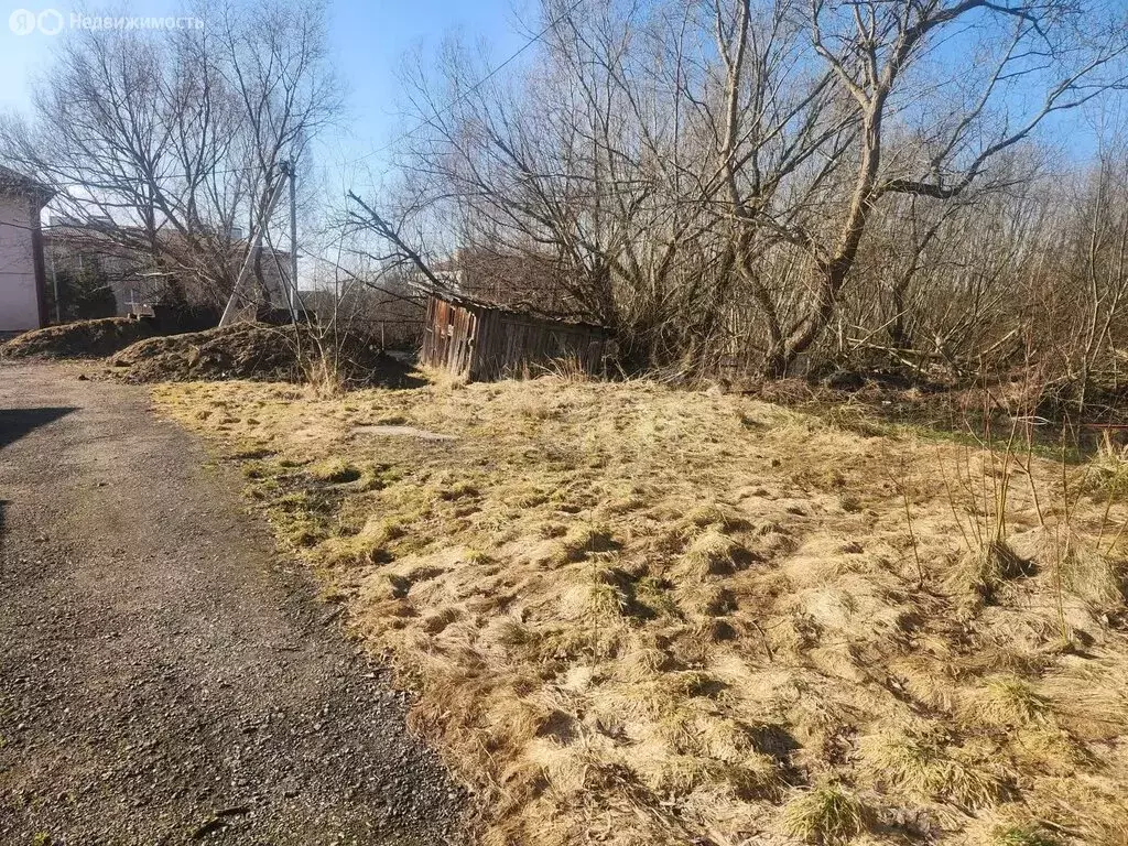 Участок в Калининградская область, Гурьевский муниципальный округ, ... - Фото 1