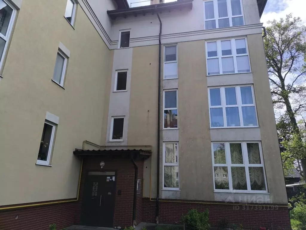 2-к кв. Калининградская область, Светлогорск ул. Тихомирова, 3 (54.4 ... - Фото 1