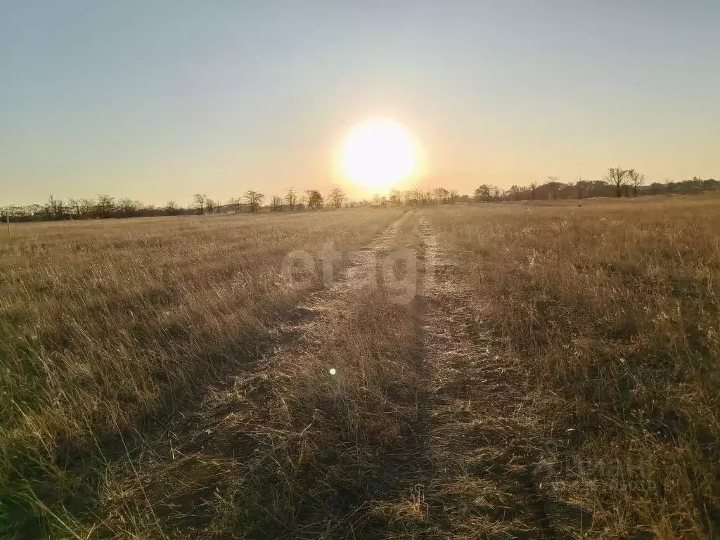 Участок в Крым, Симферопольский район, Николаевка пгт  (6.0 сот.) - Фото 1