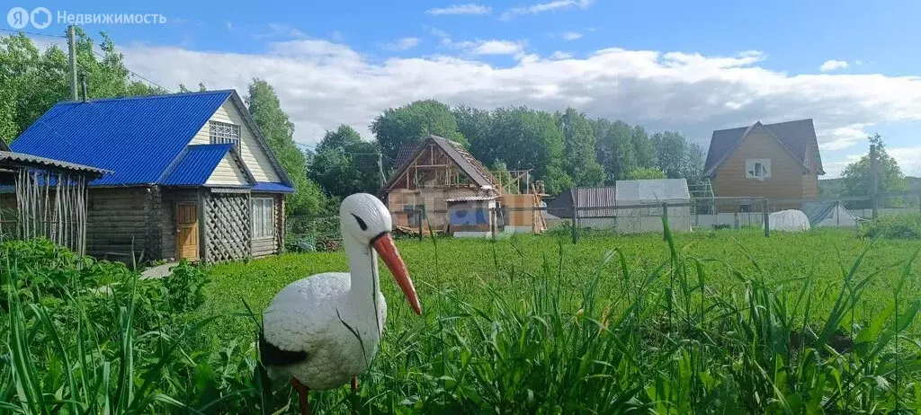 Участок в село Выльгорт, посёлок Пичипашня, Южная улица (6 м) - Фото 0