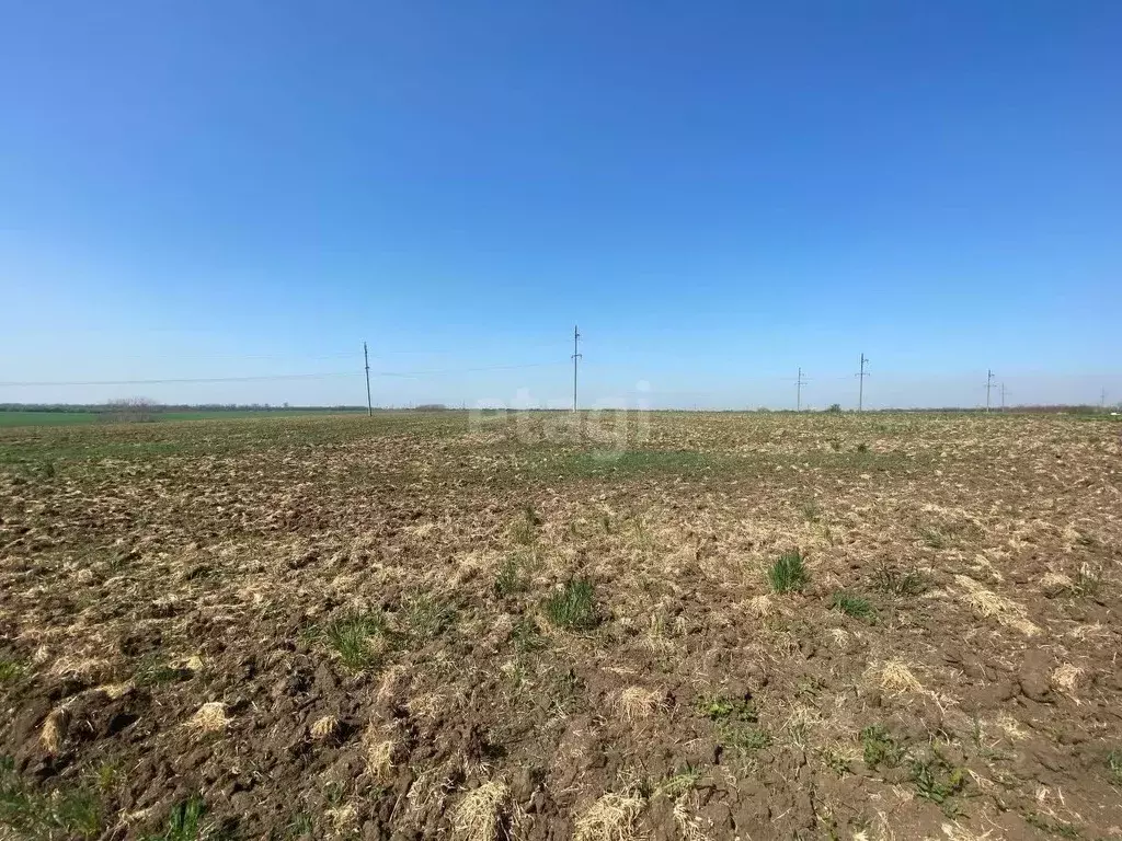 Участок в Краснодарский край, Ейск  (6.0 сот.) - Фото 1