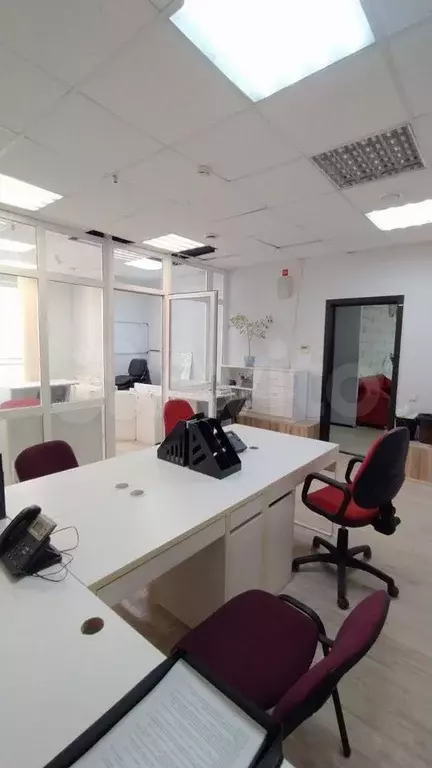 Сдам помещение свободного назначения, 43 м - Фото 1