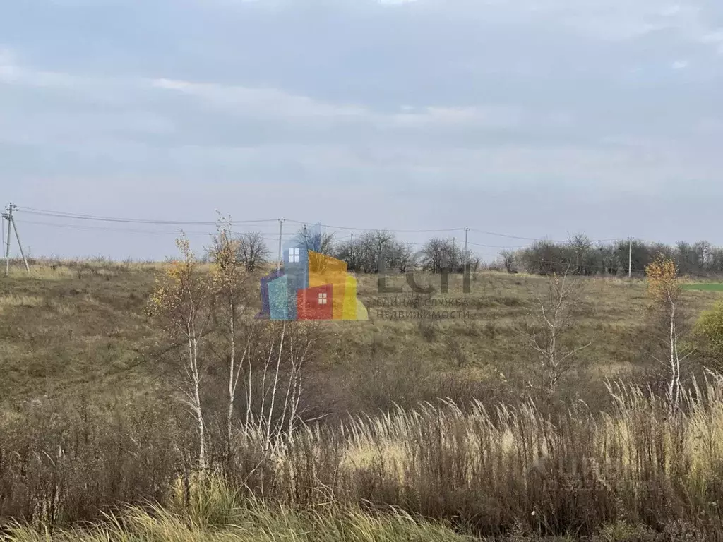 Участок в Тульская область, Заокский район, Демидовское с/пос, с. ... - Фото 1