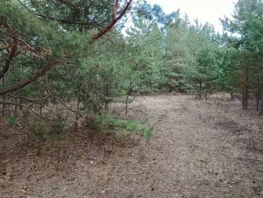 Участок в Воронежская область, Воронеж ул. Генерала Шатилова (7.3 ... - Фото 0