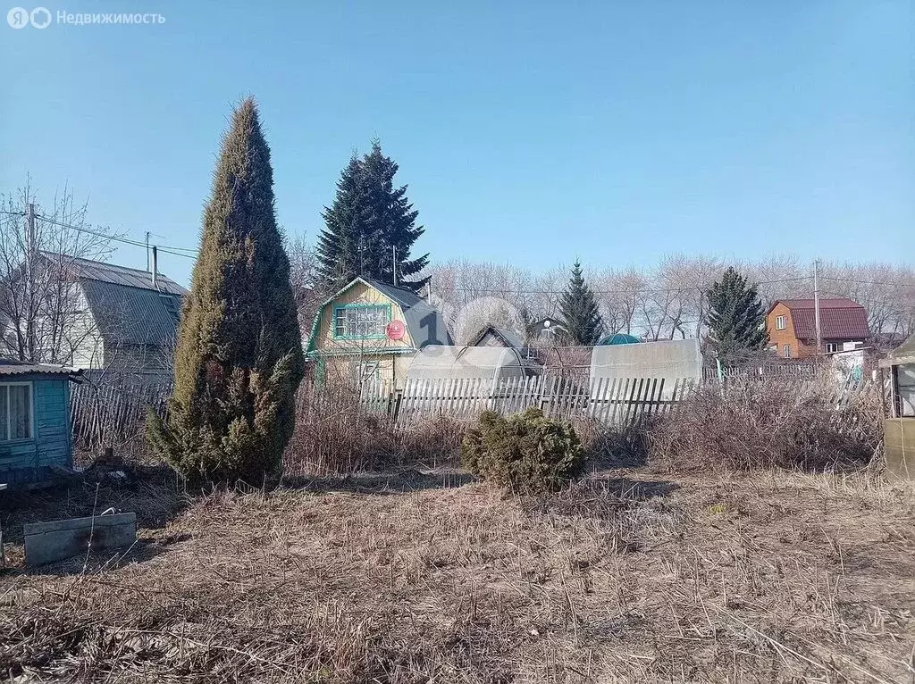 Участок в Новосибирск, территория СНТ Рассвет, 40 (5.8 м) - Фото 2