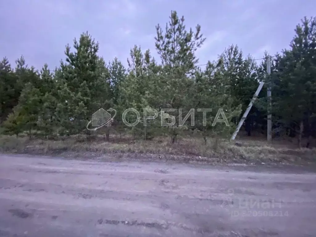 Участок в Свердловская область, Тугулым пгт ул. Новостроящаяся (9.99 ... - Фото 0