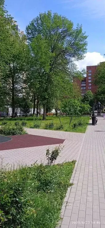 3-к кв. Ленинградская область, Выборг Садовая ул., 11 (80.0 м) - Фото 0
