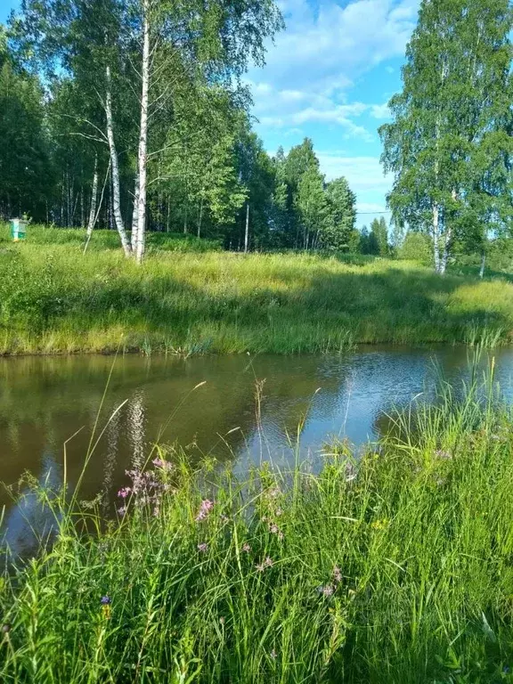 участок в ленинградская область, ломоносовский район, пениковское . - Фото 0