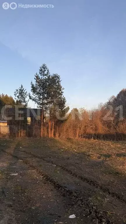Участок в Ульяновск, СНТ Ёлочка (3.25 м) - Фото 1