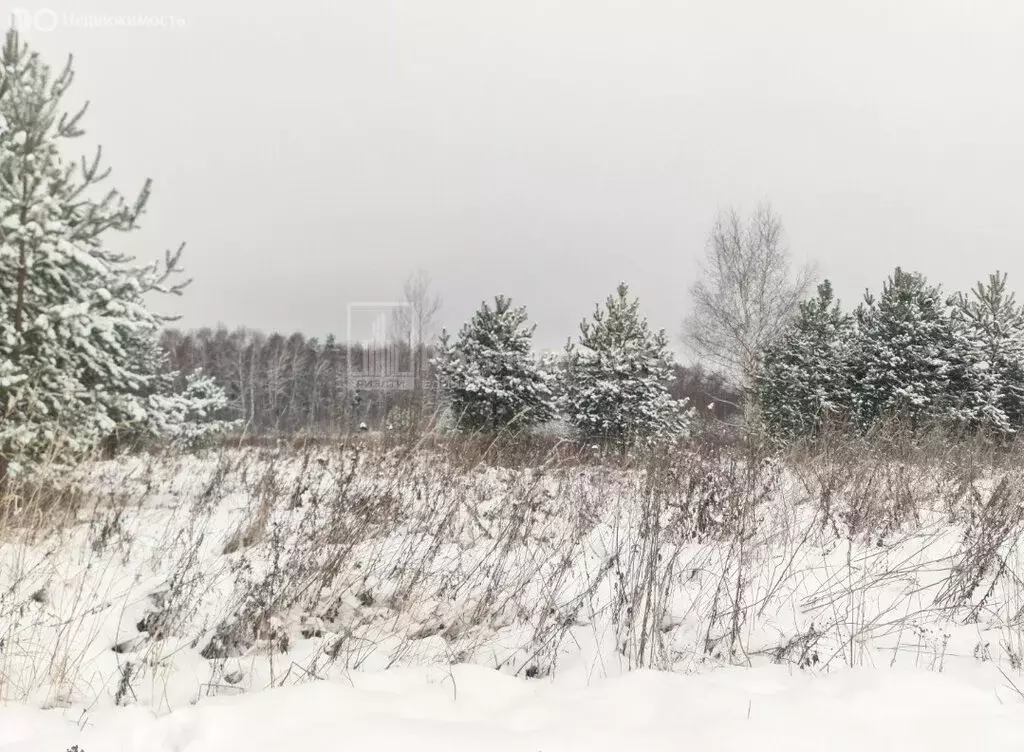 Участок в муниципальное образование Новосельское, деревня Горожёново ... - Фото 1