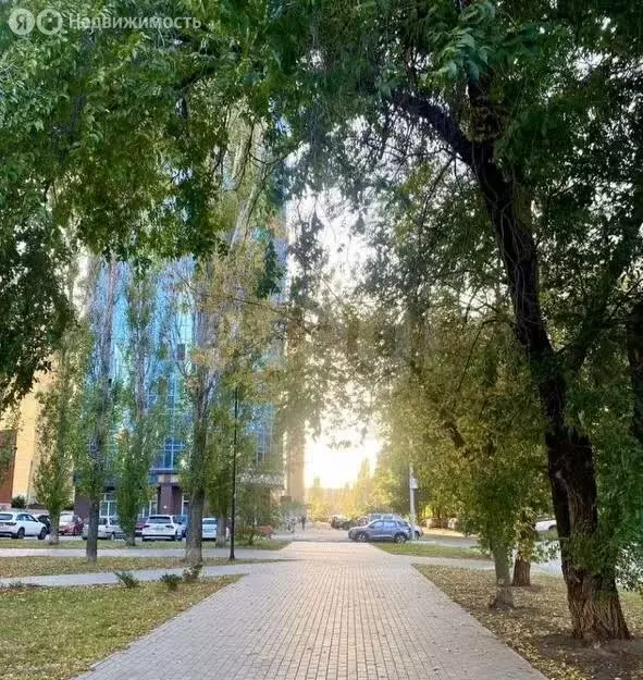 2-комнатная квартира: Воронеж, Московский проспект, 97Ак1 (90 м) - Фото 2