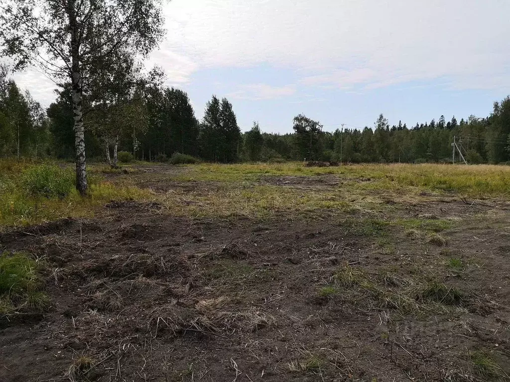 Участок в Ленинградская область, Выборгский район, Советское городское ... - Фото 1