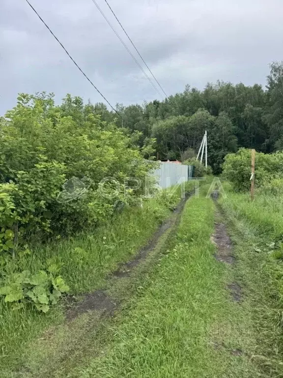 Участок в Тюменская область, Тюмень Светлячок садовое товарищество, ... - Фото 1