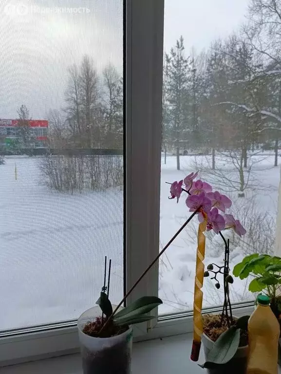 1-комнатная квартира: Любань, улица Ленина, 15 (33.3 м) - Фото 1