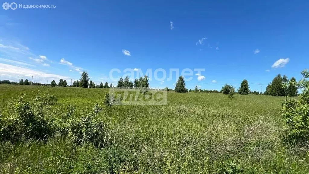 Участок в Мошковский район, село Сокур (10 м) - Фото 2