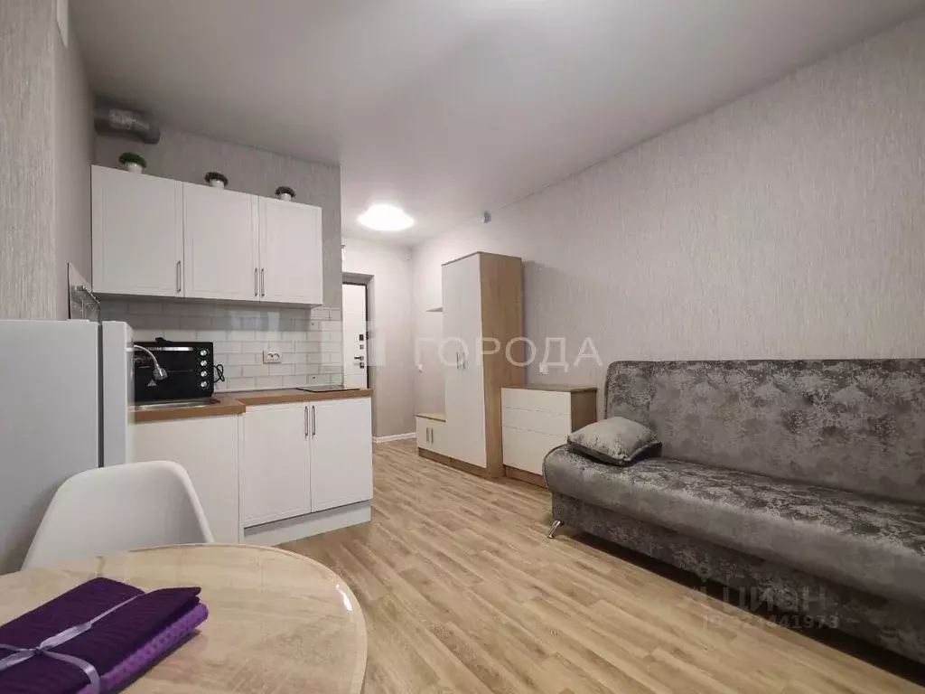 Студия Новосибирская область, Новосибирск Горский мкр, 63/1 (25.0 м) - Фото 2