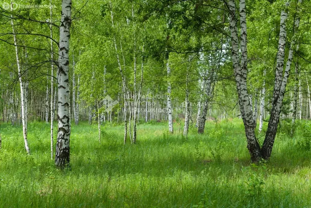 Участок в село Дубровичи, КП Дубровка (9.2 м) - Фото 1