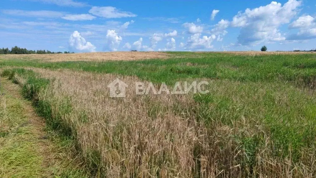 Участок в Ленинградская область, Кировский район, Назиевское городское ... - Фото 0