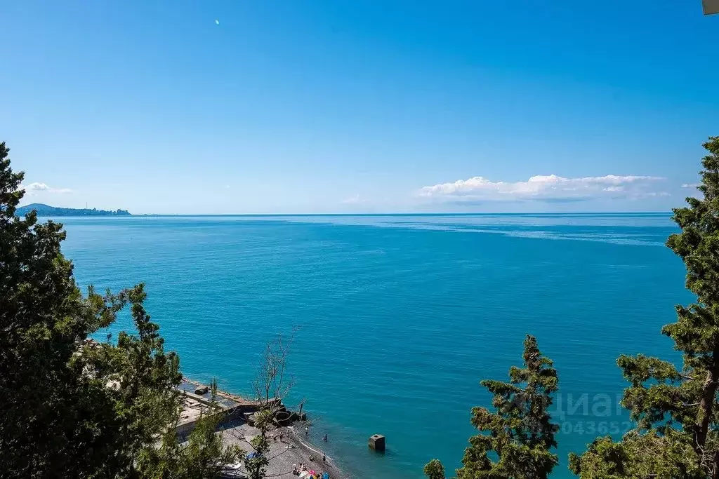 1-к кв. Краснодарский край, Сочи Лучезарная ул., 1А (26.0 м) - Фото 1