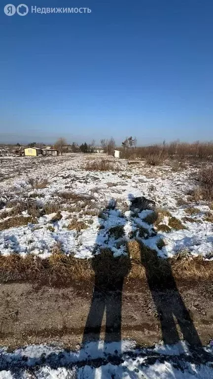 Участок в Приморский край, Яковлевский муниципальный округ, село ... - Фото 0