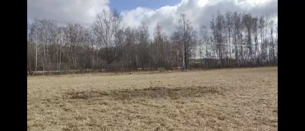 Участок в Московская область, Коломна городской округ, с. Бояркино  ... - Фото 1