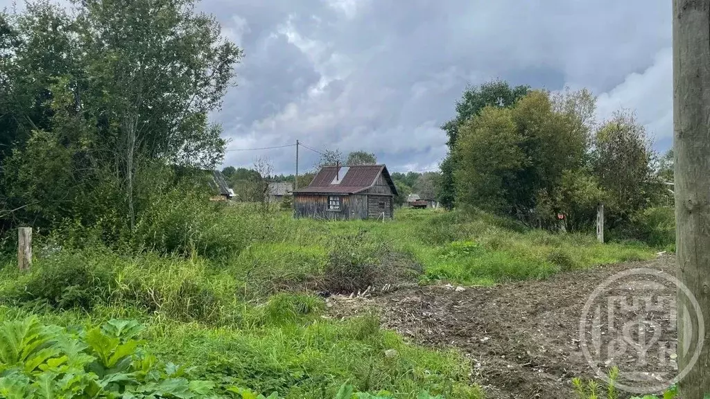 Участок в Ленинградская область, Тихвинский район, Шугозерское с/пос, ... - Фото 2