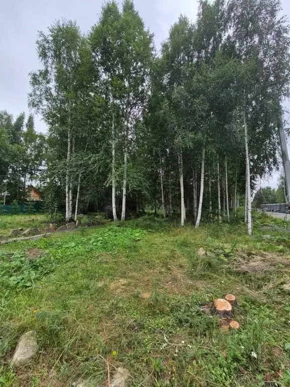 Участок в Свердловская область, Екатеринбург Цветмет СНТ,  (11.9 сот.) - Фото 1