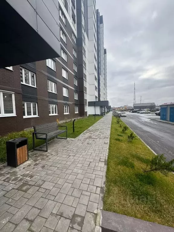 3-к кв. Брянская область, Брянск просп. Станке Димитрова, 67к7 (78.8 ... - Фото 2