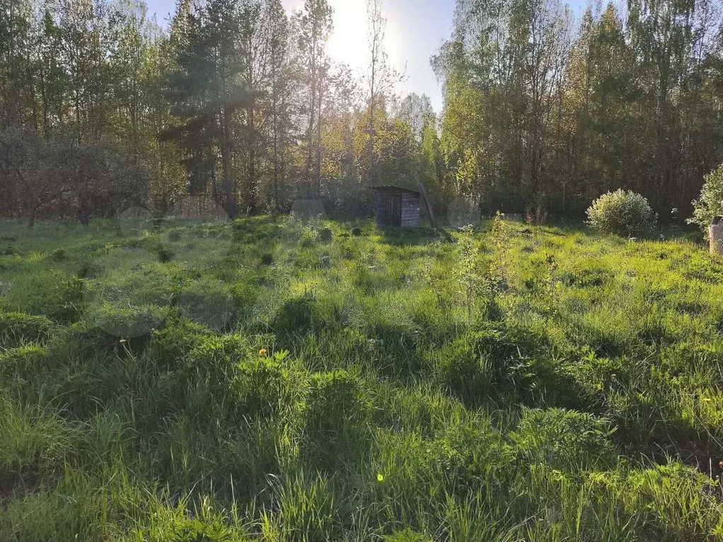 Участок 9 сот. (ИЖС) - Фото 0